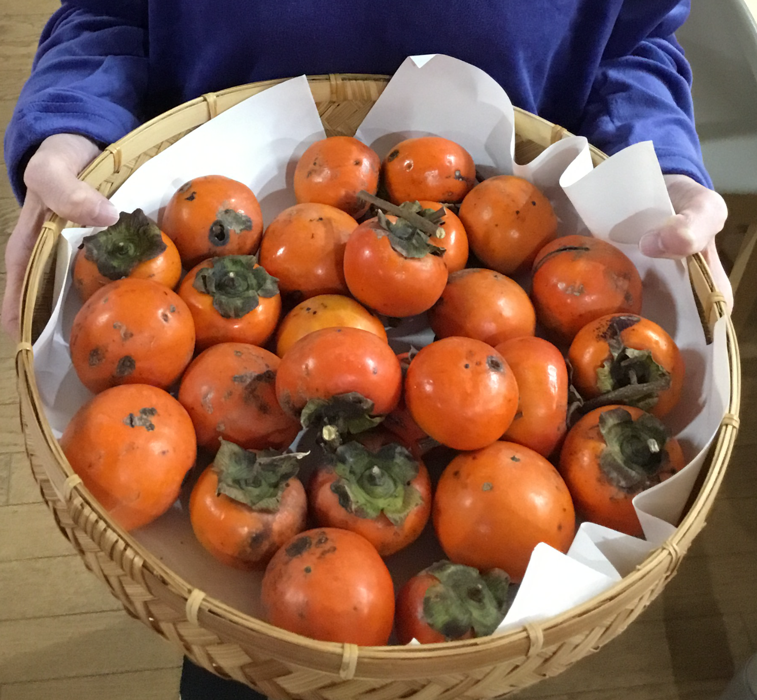 ♪松の園♬　柿パーティー